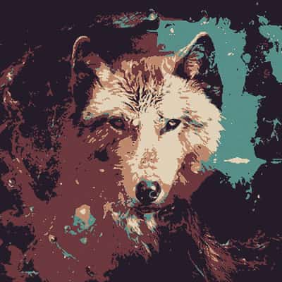 Tarot-Animales