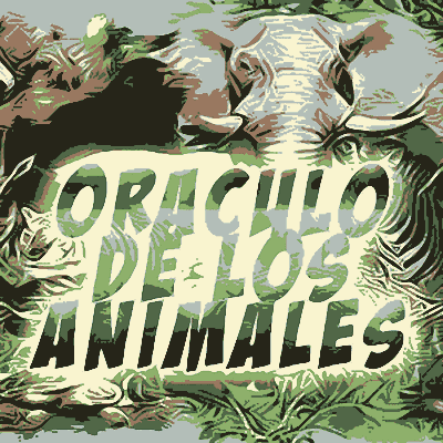 Oráculo Animales